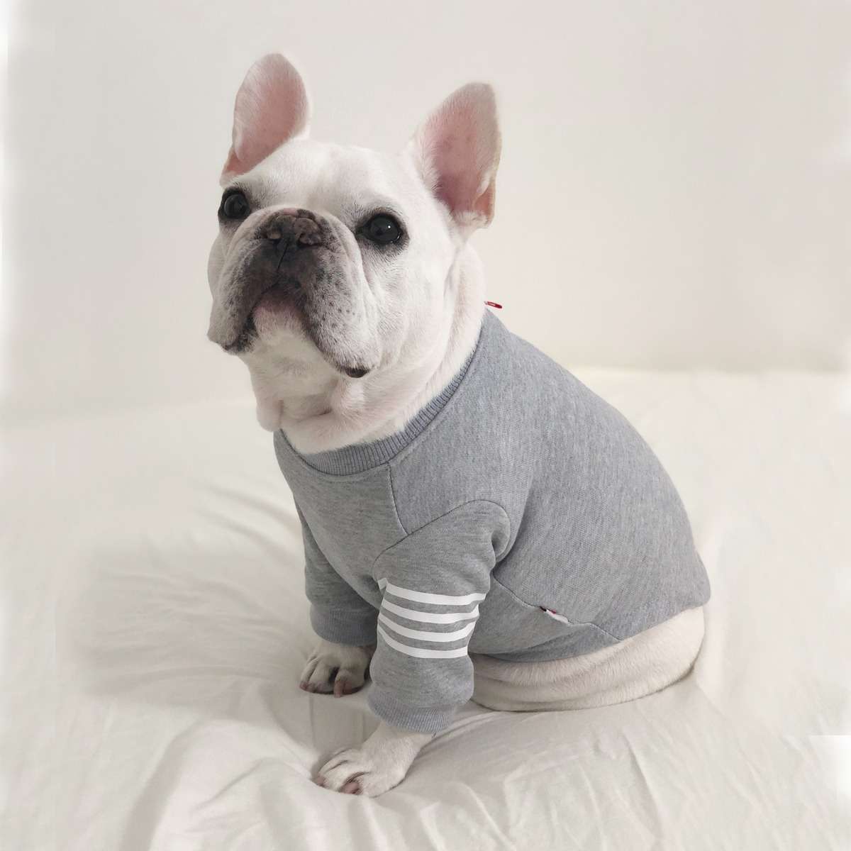 英字 Tシャツ 1 【L】